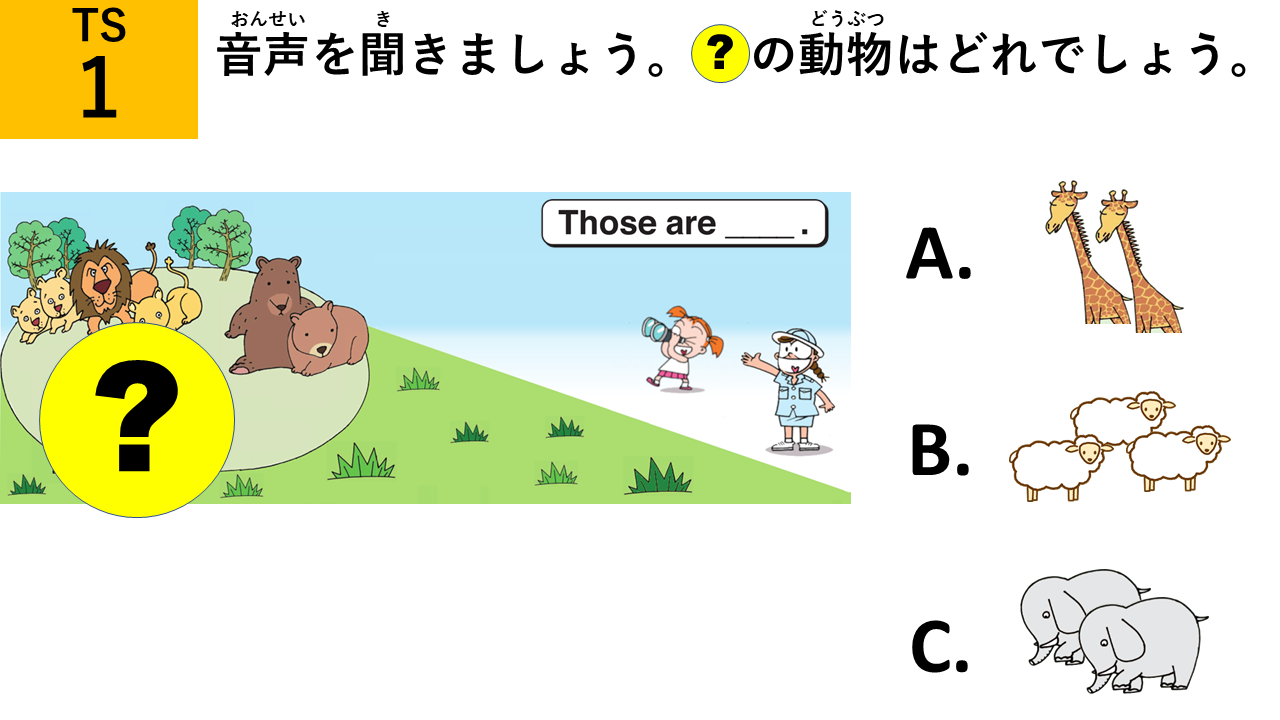 Question 6