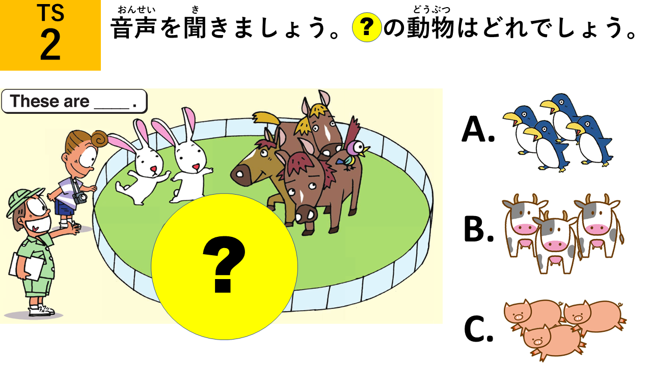 Question 7